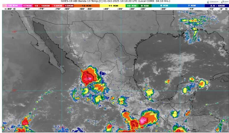 WhatsApp Image 2025-10-01 at 07.52.16