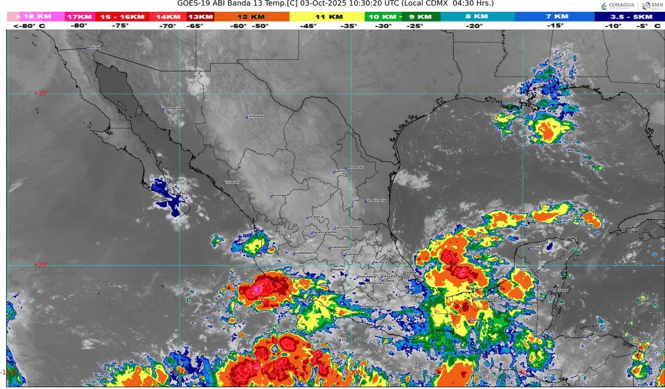 WhatsApp Image 2025-10-03 at 07.22.02