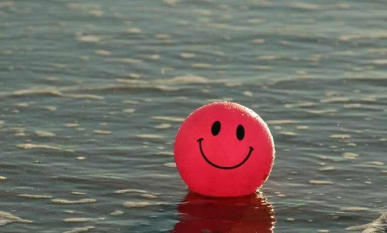 WhatsApp Image 2025-10-03 at 10.43.49