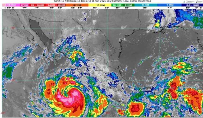 WhatsApp Image 2025-10-06 at 07.48.02