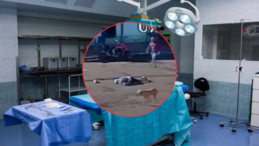 WhatsApp Image 2025-10-06 at 10.07.59