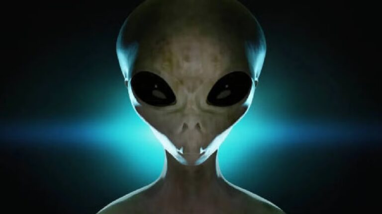 WhatsApp Image 2025-10-07 at 12.45.36