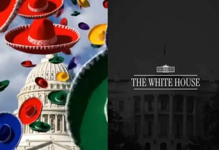 WhatsApp Image 2025-10-07 at 13.26.44