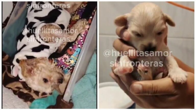 WhatsApp Image 2025-10-10 at 12.18.35