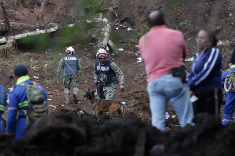 WhatsApp Image 2025-10-13 at 09.40.11