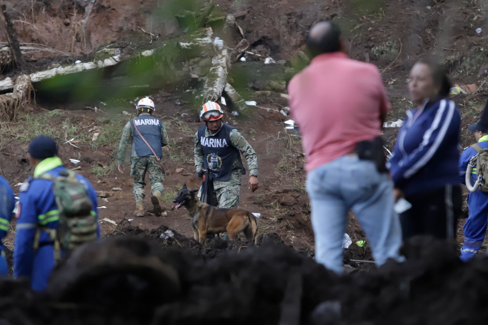 WhatsApp Image 2025-10-13 at 09.40.11