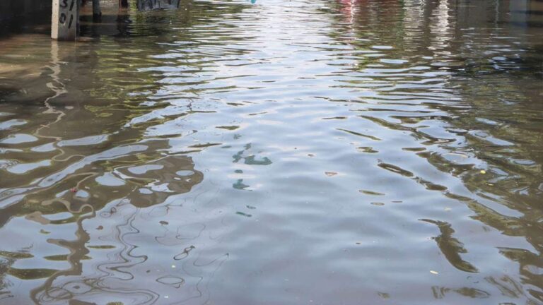 WhatsApp Image 2025-10-14 at 08.54.04