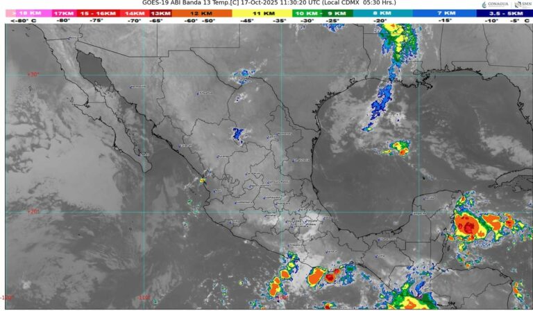 WhatsApp Image 2025-10-17 at 07.25.35