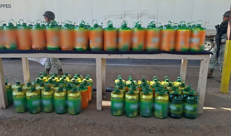 WhatsApp Image 2025-10-17 at 09.08.15