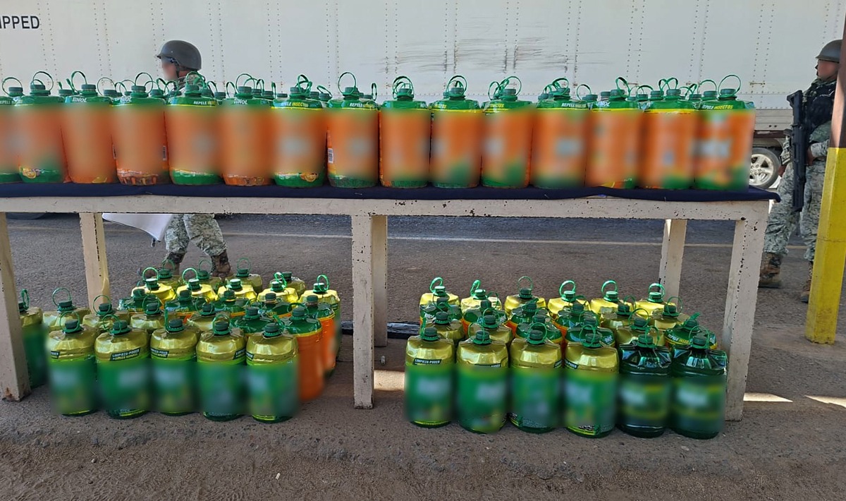 WhatsApp Image 2025-10-17 at 09.08.15