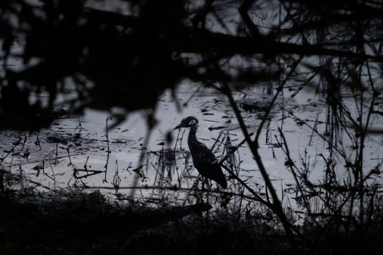 WhatsApp Image 2025-10-19 at 15.59.51