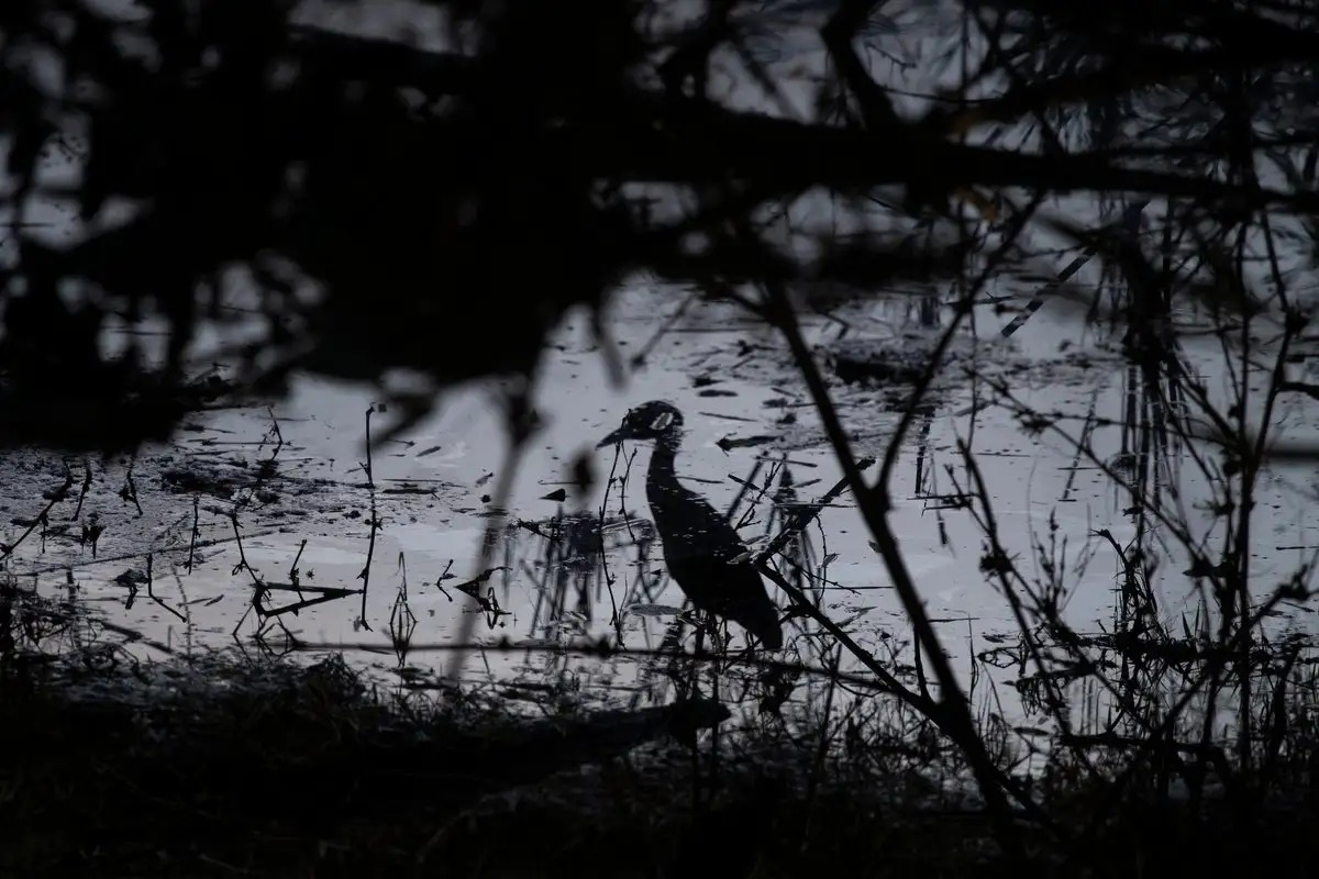 WhatsApp Image 2025-10-19 at 15.59.51