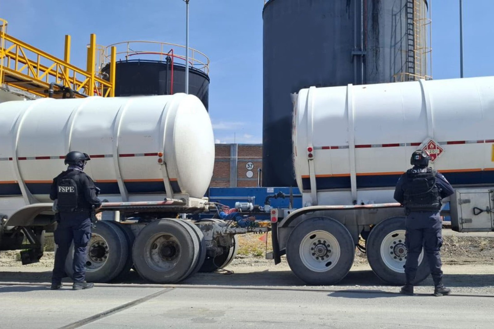 WhatsApp Image 2025-10-20 at 08.45.37