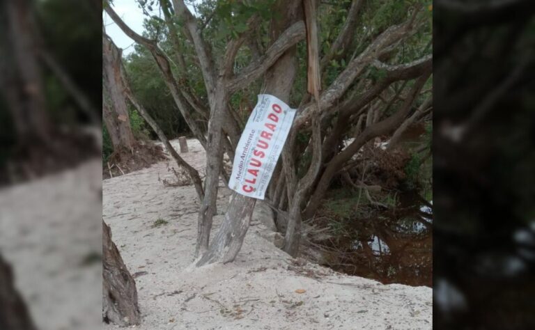 Imagen de WhatsApp 2025-11-17 a las 10.27.43_ae16211f