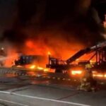 WhatsApp Image 2025-11-10 at 10.13.40