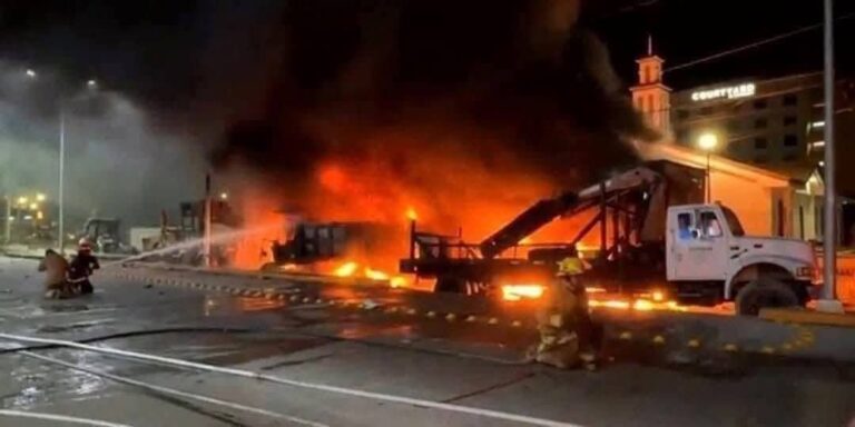 WhatsApp Image 2025-11-10 at 10.13.40