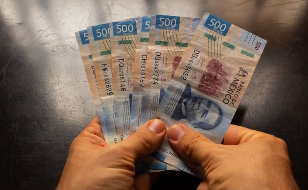 WhatsApp Image 2025-12-03 at 09.57.34