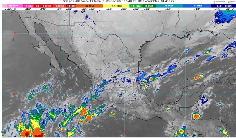 WhatsApp Image 2025-12-08 at 07.15.55