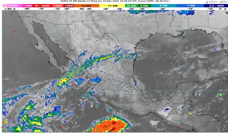 WhatsApp Image 2025-12-10 at 07.20.26