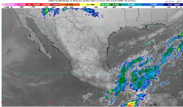 WhatsApp Image 2025-12-19 at 07.47.07