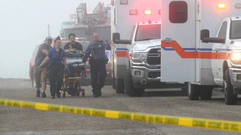 WhatsApp Image 2025-12-23 at 09.56.35