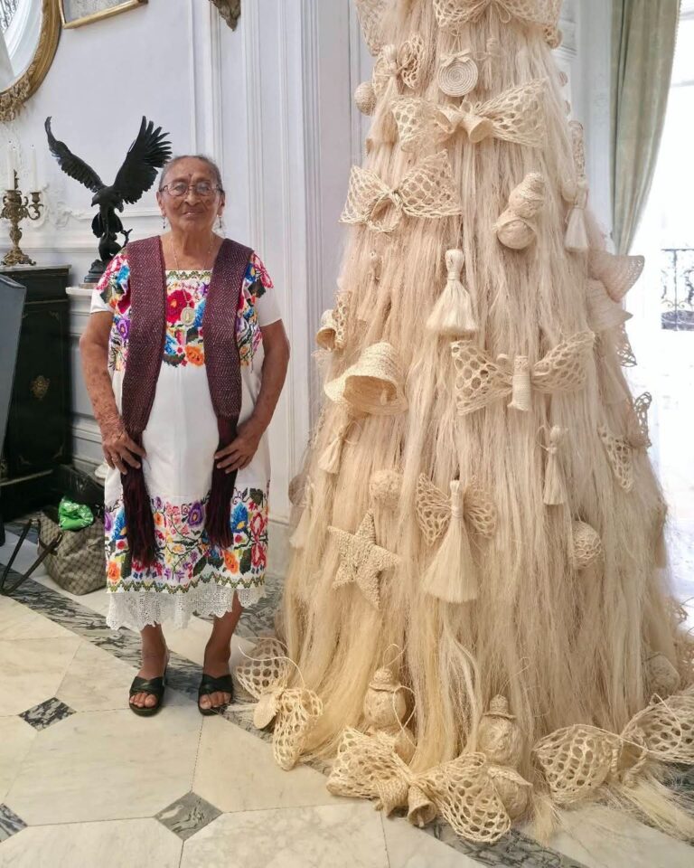 WhatsApp Image 2025-12-27 at 11.20.49