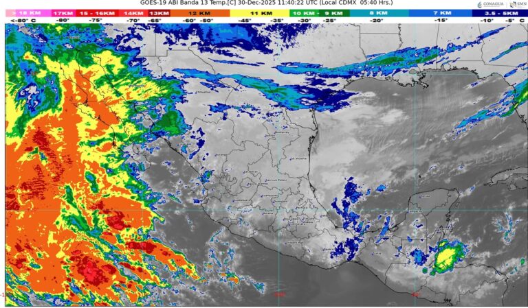 WhatsApp Image 2025-12-30 at 08.20.26