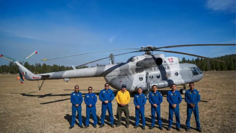 WhatsApp Image 2025-12-30 at 10.09.00