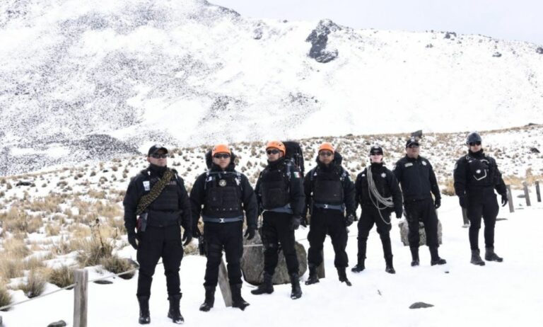 WhatsApp Image 2025-12-30 at 11.50.09