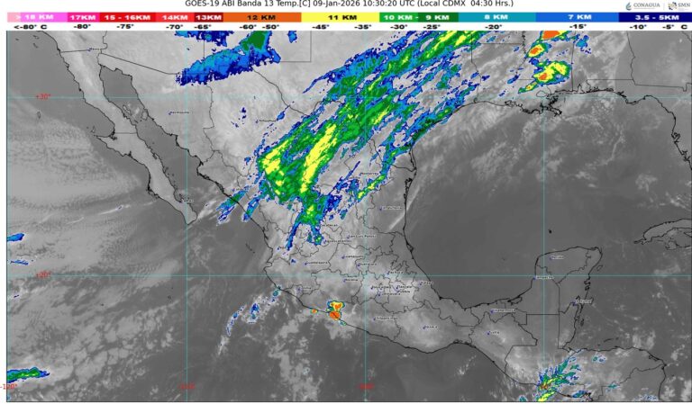 WhatsApp Image 2026-01-09 at 07.33.22