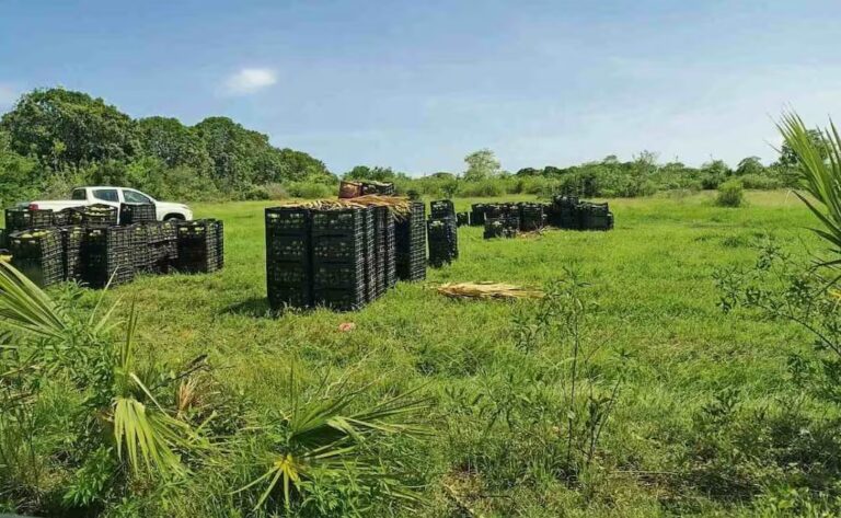 WhatsApp Image 2026-01-12 at 09.04.18