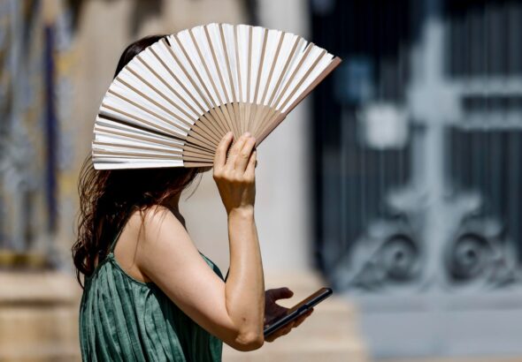 WhatsApp Image 2026-01-14 at 11.58.27