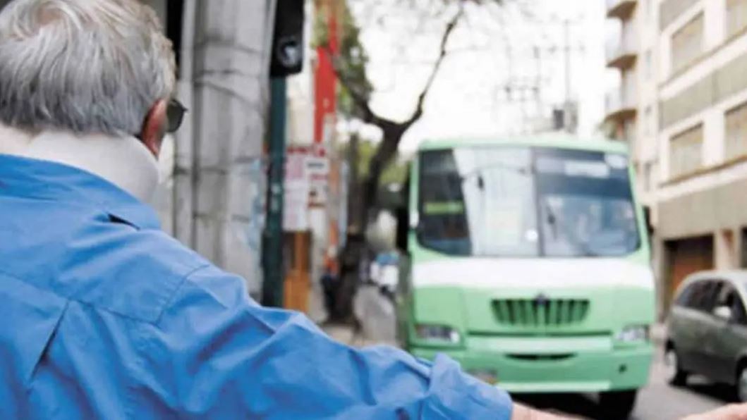 WhatsApp Image 2026-01-21 at 10.31.44