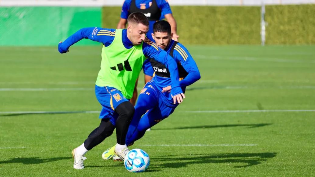 WhatsApp Image 2026-01-24 at 17.15.00