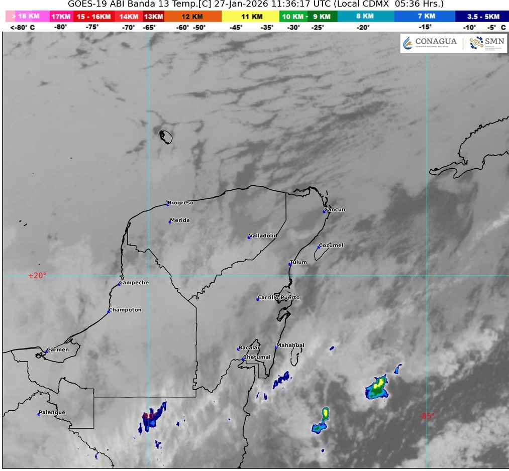 WhatsApp Image 2026-01-27 at 07.58.13