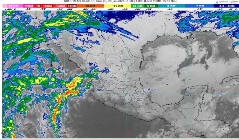 WhatsApp Image 2026-01-28 at 08.04.29