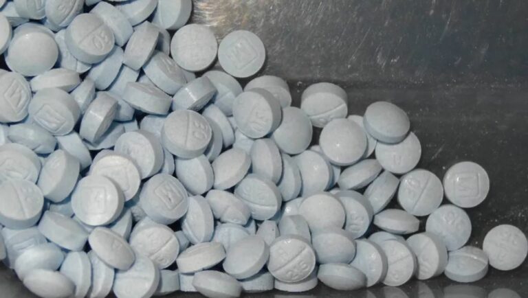 WhatsApp Image 2026-01-31 at 17.56.36