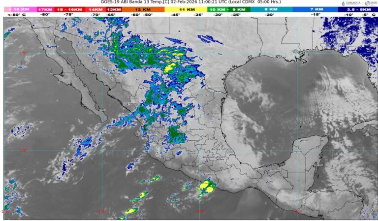 WhatsApp Image 2026-02-02 at 08.05.30