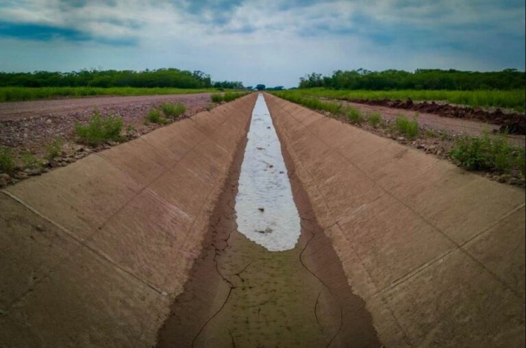 WhatsApp Image 2026-02-04 at 11.31.58