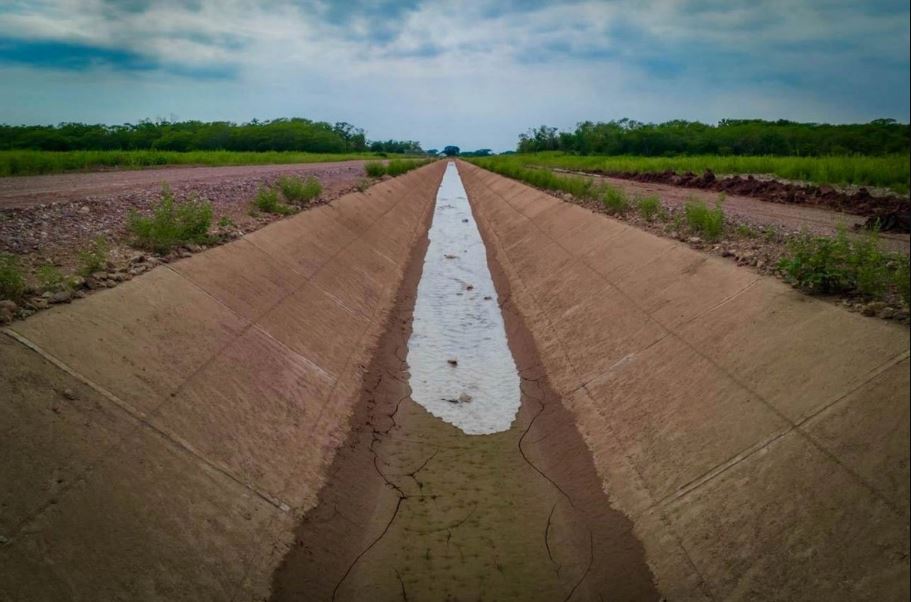 WhatsApp Image 2026-02-04 at 11.31.58