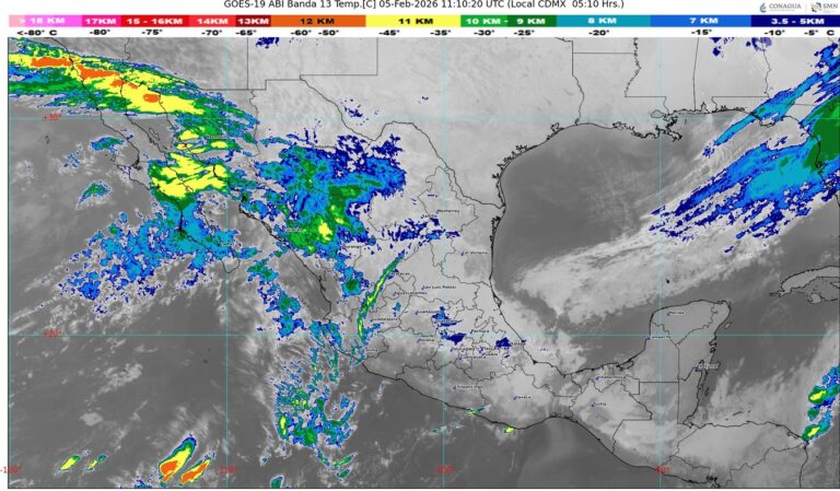 WhatsApp Image 2026-02-05 at 07.51.11