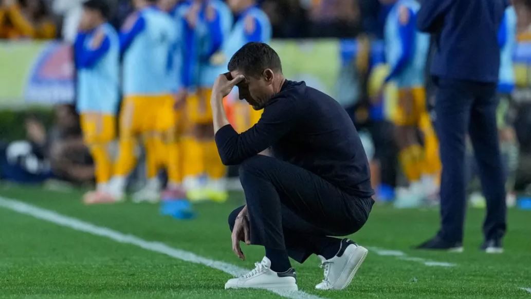 WhatsApp Image 2026-02-07 at 13.24.27