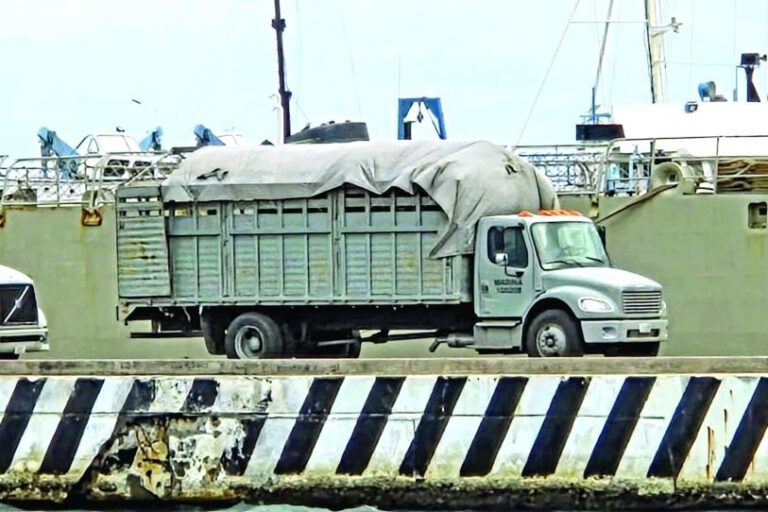 WhatsApp Image 2026-02-08 at 09.35.13