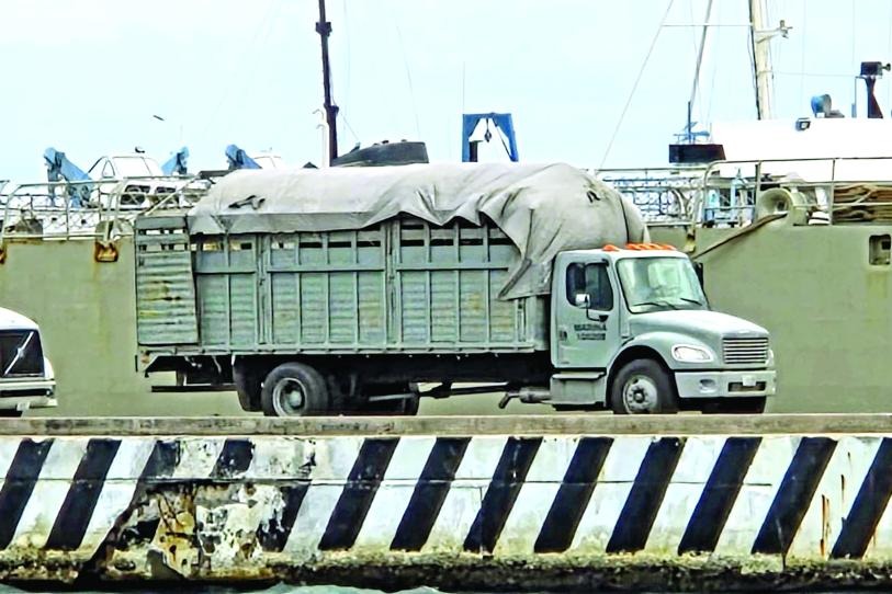 WhatsApp Image 2026-02-08 at 09.35.13