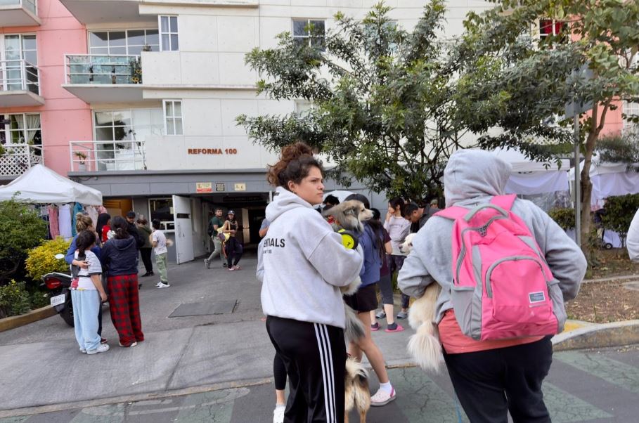 WhatsApp Image 2026-02-10 at 12.20.44