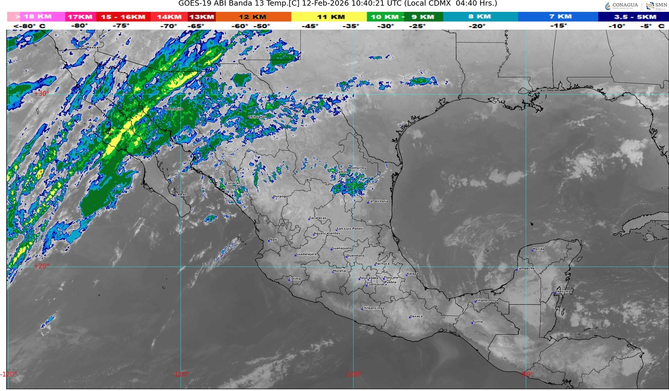 WhatsApp Image 2026-02-12 at 07.46.35