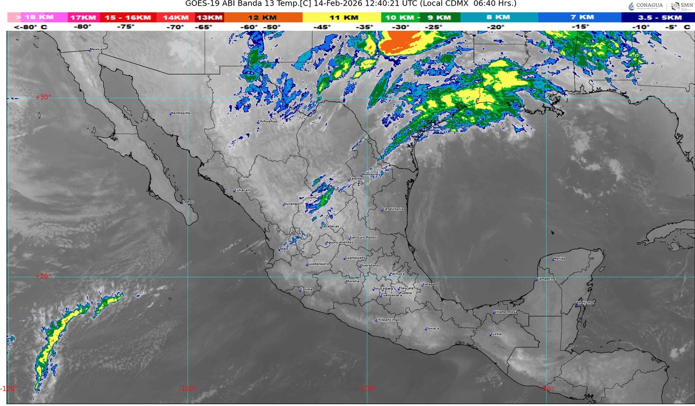 WhatsApp Image 2026-02-14 at 09.04.38