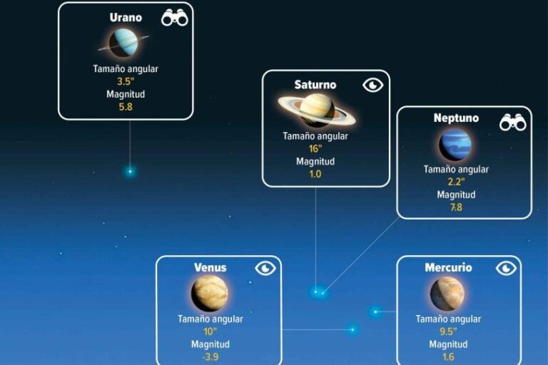 WhatsApp Image 2026-02-15 at 09.30.39