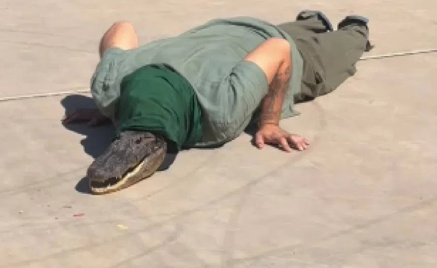 WhatsApp Image 2026-02-17 at 07.33.31 (1)