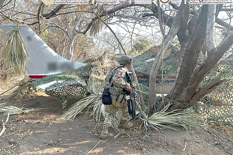 WhatsApp Image 2026-02-18 at 11.36.33